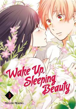 Wake up, Sleeping Beauty 3  9781632365897 Front Cover
