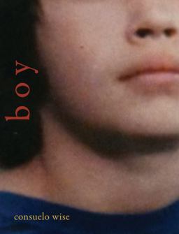 Boy  9781632431301 Front Cover