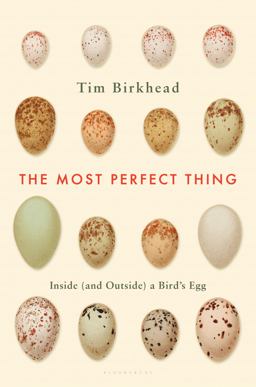 Most Perfect Thing Inside (and Outside) a Bird's Egg  9781632863690 Front Cover