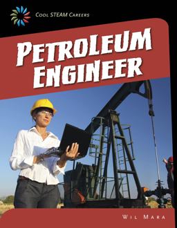 Petroleum Engineer Petroleum Engineer