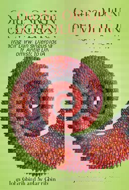 On the Origin of Evolution