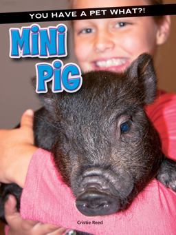 Mini Pig  9781634305310 Front Cover