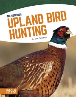 Upland Bird Hunting Upland Bird Hunting