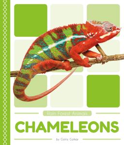 Chameleons  9781635178203 Front Cover