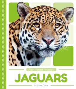 Jaguars  9781635178227 Front Cover