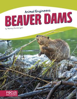 Beaver Dams Beaver Dams