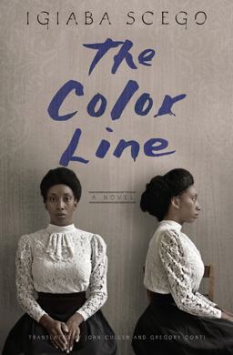 Color Line A Novel  9781635420869 Front Cover