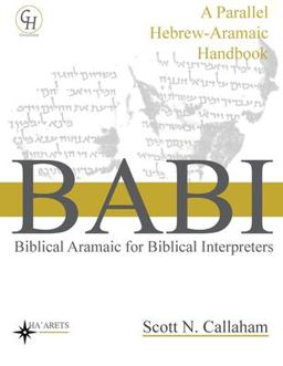 Biblical Aramaic for Biblical Interpreters A Parallel Hebrew-Aramaic Handbook  9781636630144 Front Cover