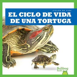 El Ciclo de Vida de una Tortuga