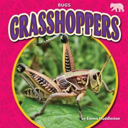 Grasshoppers Grasshoppers