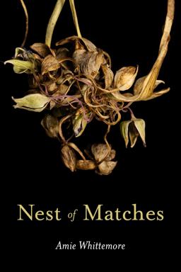 Nest of Matches  9781637680896 Front Cover