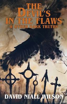 Devil's in the Flaws &amp; Other Dark Truths  9781637897584 Front Cover
