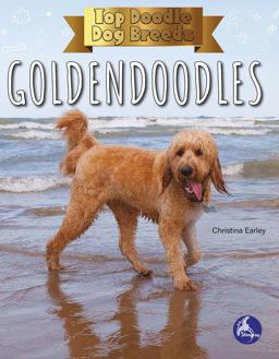 Goldendoodles Goldendoodles