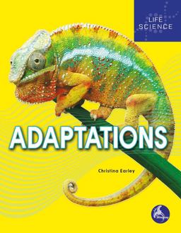 Adaptations Adaptations
