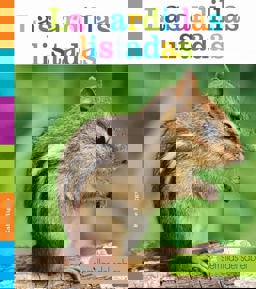 Las Ardillas Listadas