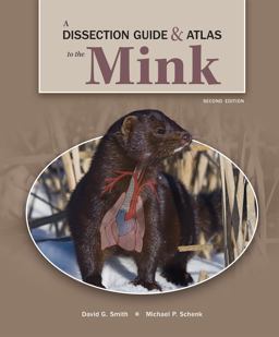 DISSECT.GDE.+ATLAS OF THE MINK  9781640430525 Front Cover