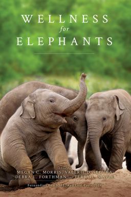 Wellness for Elephants Wellness for Elephants