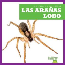 Las Arañas Lobo
