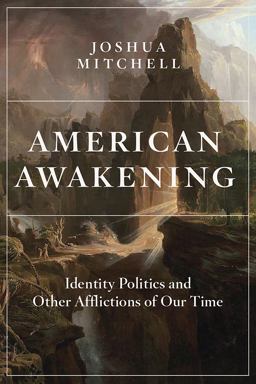 American Awakening Identity Politics and Other Afflictions of Our Time  9781641771306 Front Cover