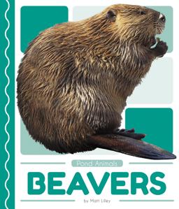 Beavers