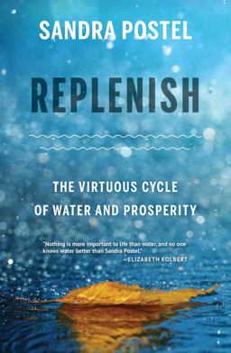Replenish The Virtuous Cycle of Water and Prosperity  9781642830101 Front Cover