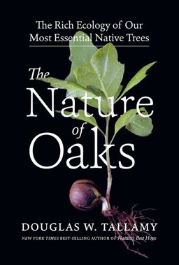 Nature of Oaks The Rich Ecology of Our Most Essential Native Trees  9781643260440 Front Cover