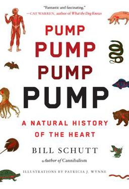 Pump A Natural History of the Heart  9781643753232 Front Cover
