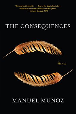Consequences Stories  9781644452066 Front Cover