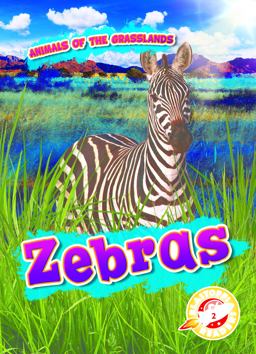 Zebras