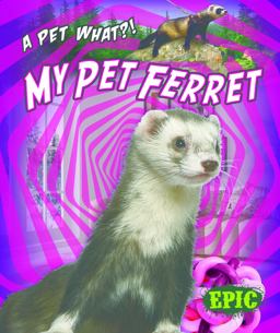 My Pet Ferret My Pet Ferret