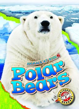 Polar Bears
