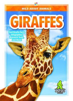 Giraffes Giraffes