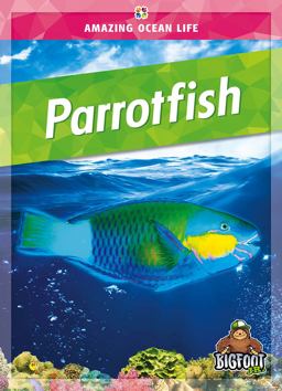 Parrotfish