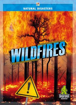 Wildfires