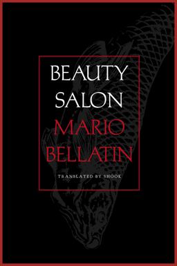 Beauty Salon  9781646050734 Front Cover
