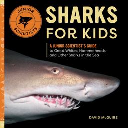 Sharks for Kids A Junior Scientist's Guide to Great Whites, Hammerheads, and Other Sharks in the Sea  9781647397579 Front Cover