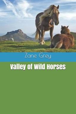 Valley of Wild Horses