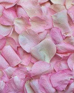 College Ruled Composition Notebook