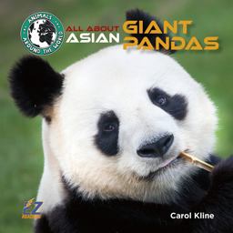 All about Asian Giant Pandas All about Asian Giant Pandas