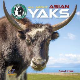All about Asian Yaks All about Asian Yaks