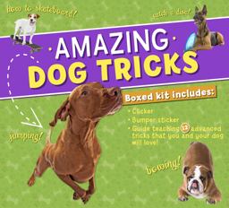 Amazing Dog Tricks