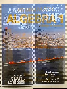 Big Ideas Math Algebra 1