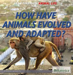 How Have Animals Evolved and Adapted?