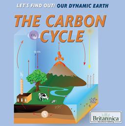 The Carbon Cycle The Carbon Cycle