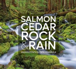 Salmon, Cedar, Rock and Rain