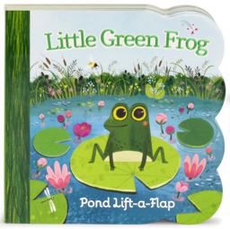 Little Green Frog  9781680520828 Front Cover