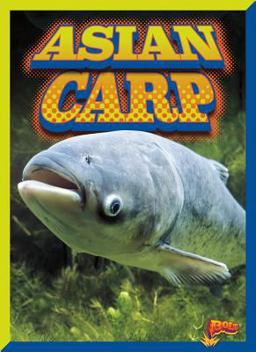 Asian Carp Asian Carp