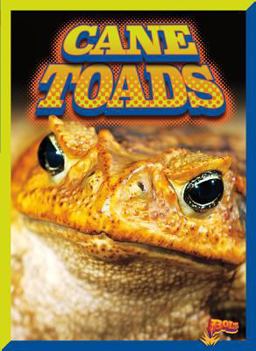 Cane Toads Cane Toads
