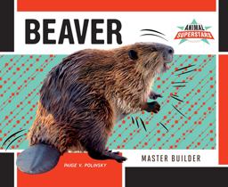 Beaver Beaver