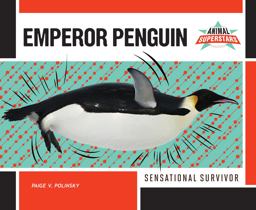 Emperor Penguin Emperor Penguin